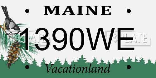 1390WE Maine License Plate