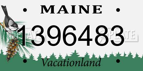1396483 Maine License Plate