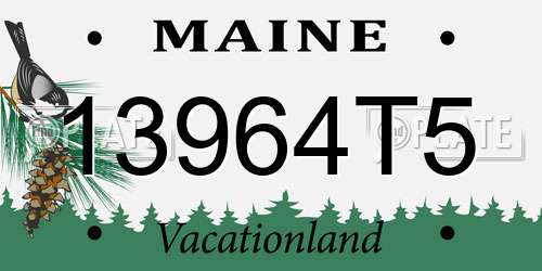 13964T5 Maine License Plate