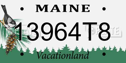 13964T8 Maine License Plate