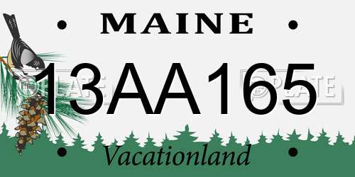 13AA165 Maine License Plate