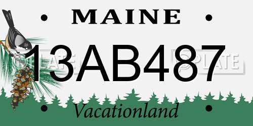 13AB487 Maine License Plate