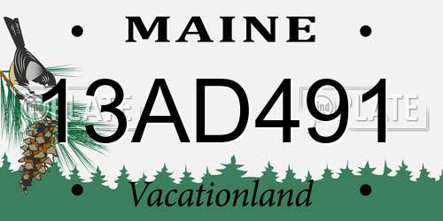 13AD491 Maine License Plate