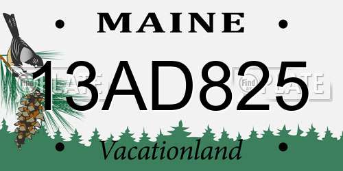 13AD825 Maine License Plate