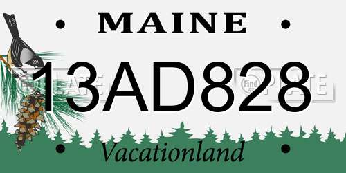 13AD828 Maine License Plate