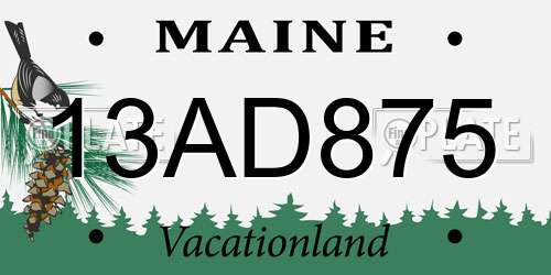 13AD875 Maine License Plate