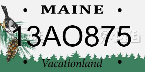 13AO875 Maine License Plate