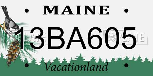 13BA605 Maine License Plate