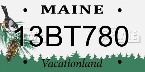 13BT780 Maine License Plate