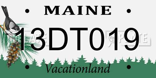 13DT019 Maine License Plate
