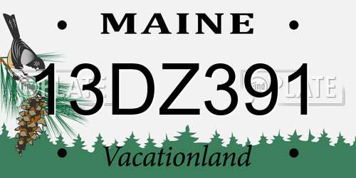 13DZ391 Maine License Plate