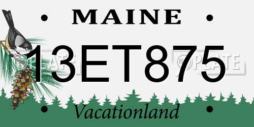 13ET875 Maine License Plate