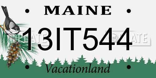 13IT544 Maine License Plate