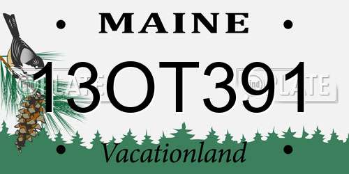 13OT391 Maine License Plate
