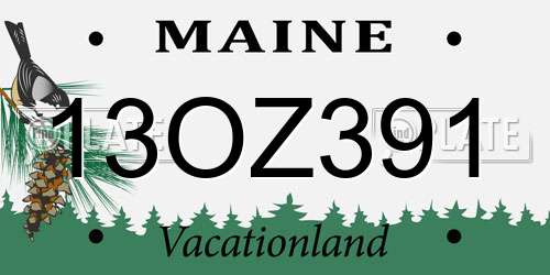 13OZ391 Maine License Plate