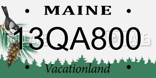 13QA800 Maine License Plate