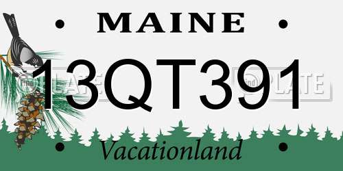 13QT391 Maine License Plate