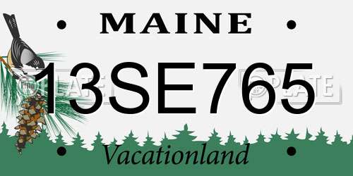 13SE765 Maine License Plate