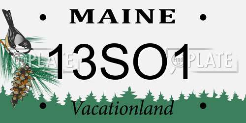13SO1 Maine License Plate