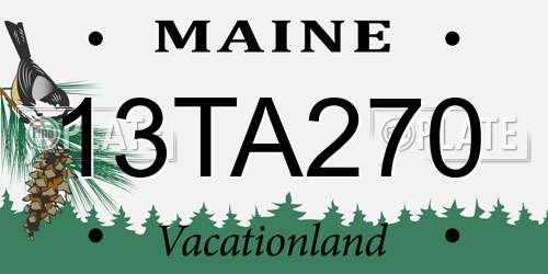 13TA270 Maine License Plate