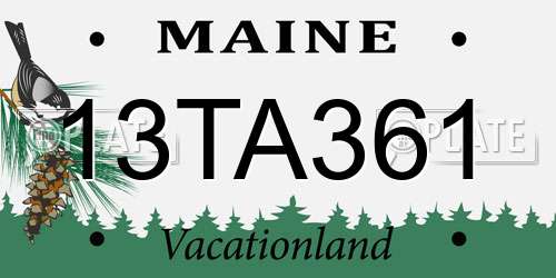 13TA361 Maine License Plate