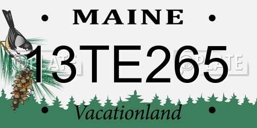 13TE265 Maine License Plate