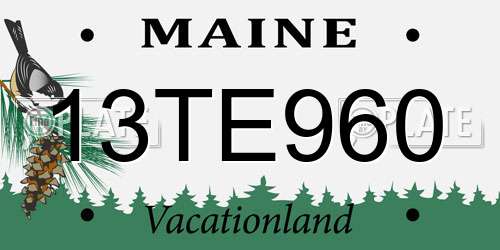 13TE960 Maine License Plate