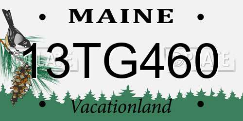 13TG460 Maine License Plate