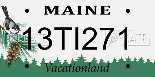 13TI271 Maine License Plate