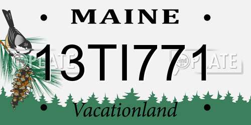 13TI771 Maine License Plate