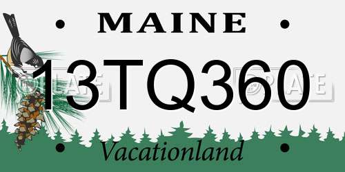 13TQ360 Maine License Plate