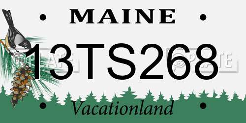 13TS268 Maine License Plate