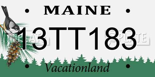 13TT183 Maine License Plate