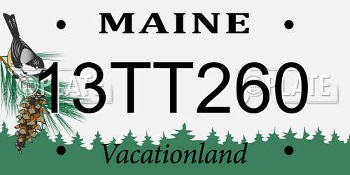 13TT260 Maine License Plate