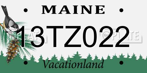13TZ022 Maine License Plate