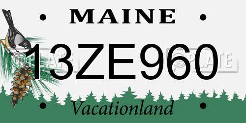 13ZE960 Maine License Plate