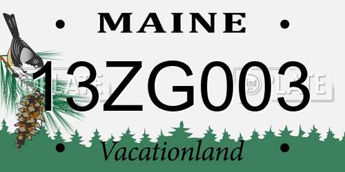 13ZG003 Maine License Plate