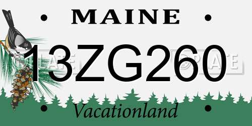 13ZG260 Maine License Plate