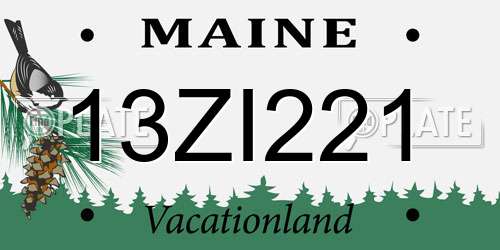 13ZI221 Maine License Plate