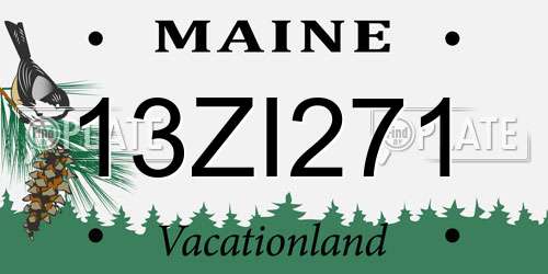 13ZI271 Maine License Plate
