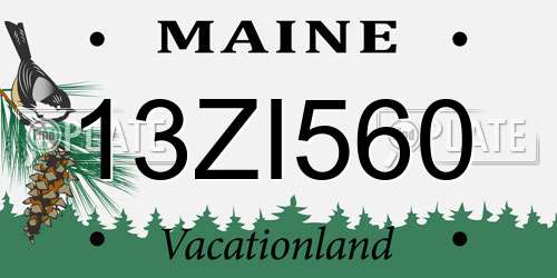 13ZI560 Maine License Plate