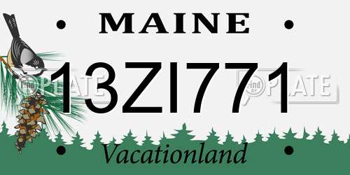 13ZI771 Maine License Plate