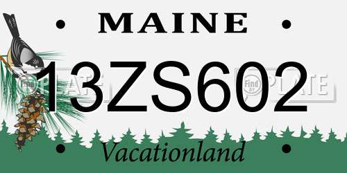 13ZS602 Maine License Plate