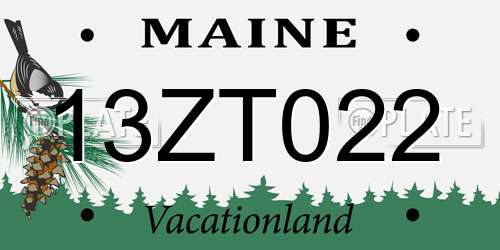 13ZT022 Maine License Plate