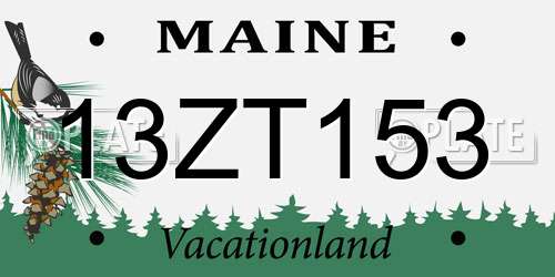 13ZT153 Maine License Plate