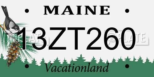 13ZT260 Maine License Plate