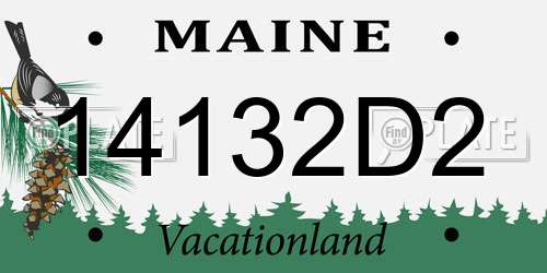 14132D2 Maine License Plate