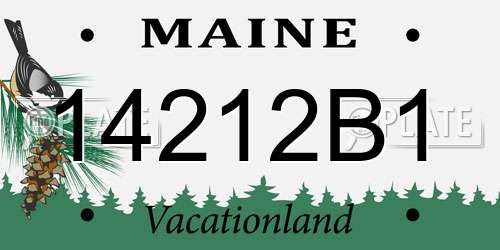 14212B1 Maine License Plate
