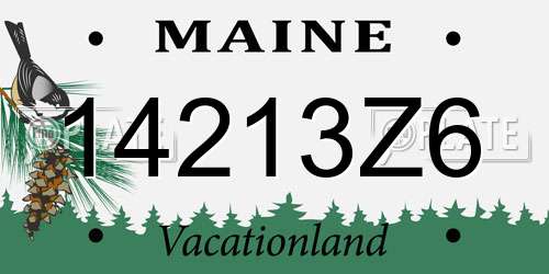 14213Z6 Maine License Plate