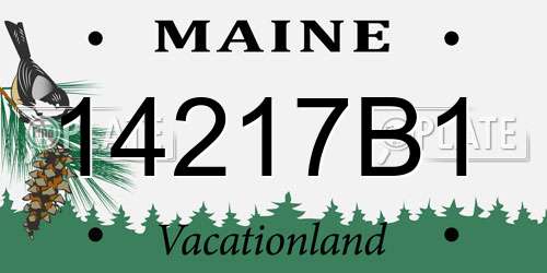 14217B1 Maine License Plate